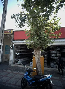 مصالح ساختمانی