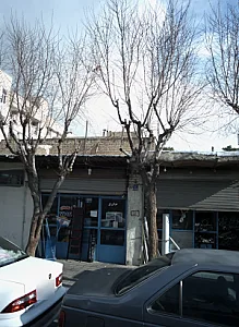 رنگ محمدی