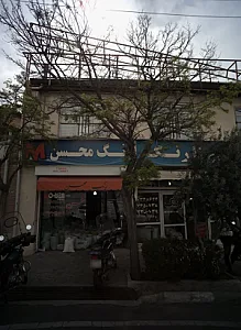 سینا رنگ