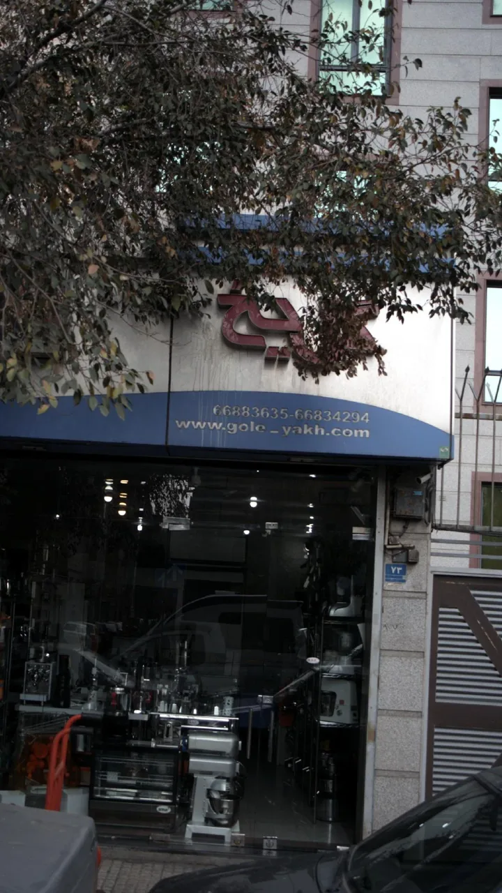 فروشگاه گل یخ