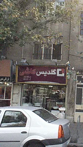 گلدیس کاشی