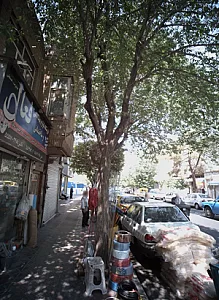 فروشگاه فعال