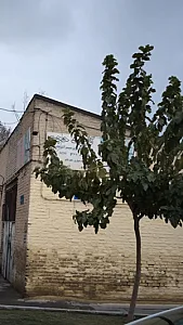 کابینت حجت