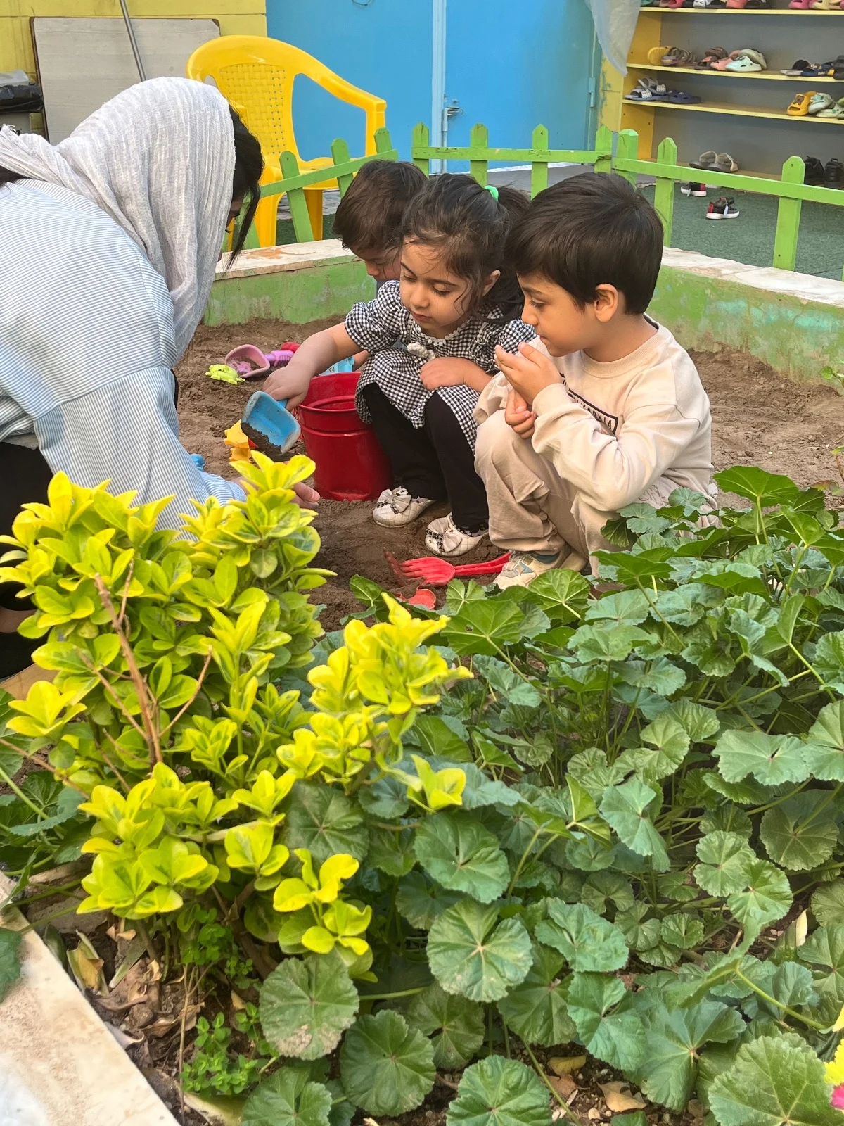 خانه بازی و یادگیری هوشا - تصویر 4