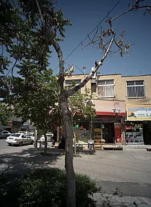 کیف و کفش تبریز