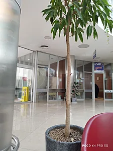 بیمه ایران نمایندگی بهمنیار ۳۲۹۰۰