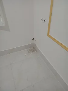 معصومه  ربانی  نسب
