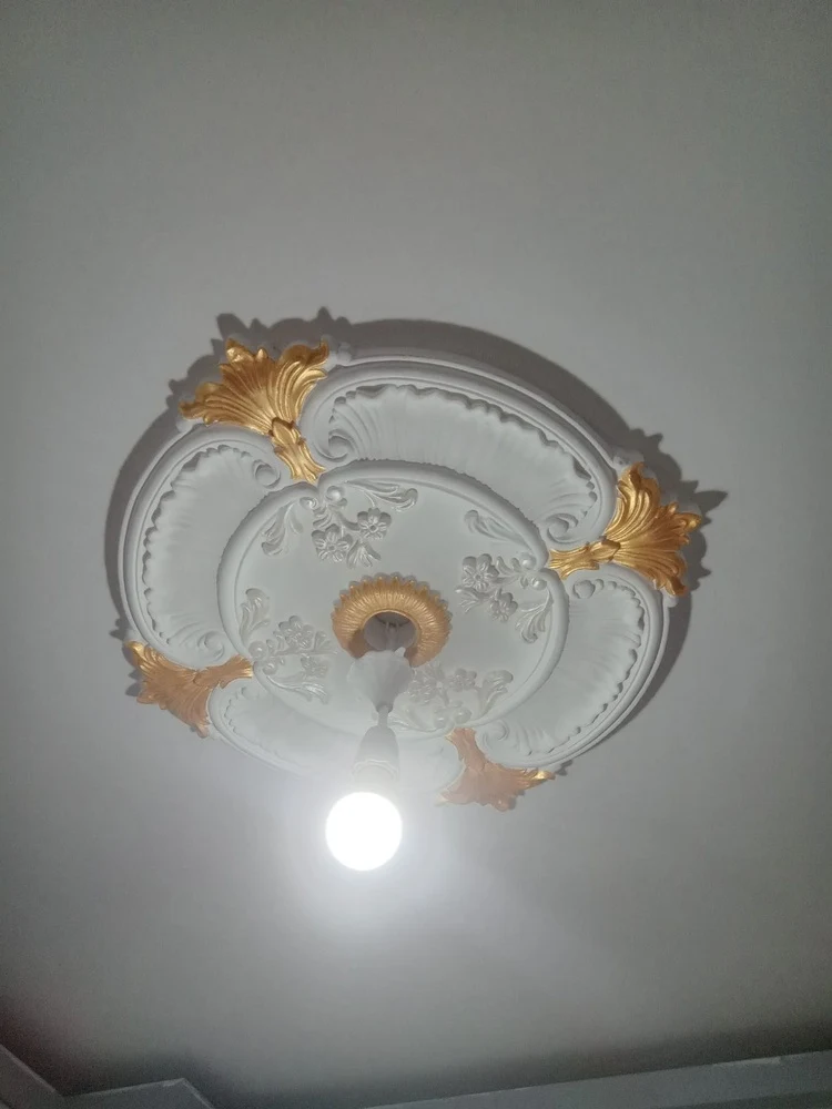 معصومه  ربانی  نسب - تصویر 5
