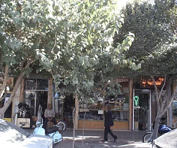فروشگاه رنگ و ابزار آلات