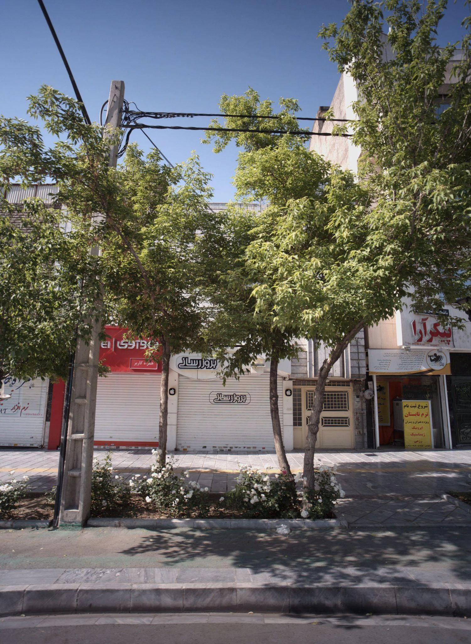 باشگاه علمی ورزشی پیکر آرا