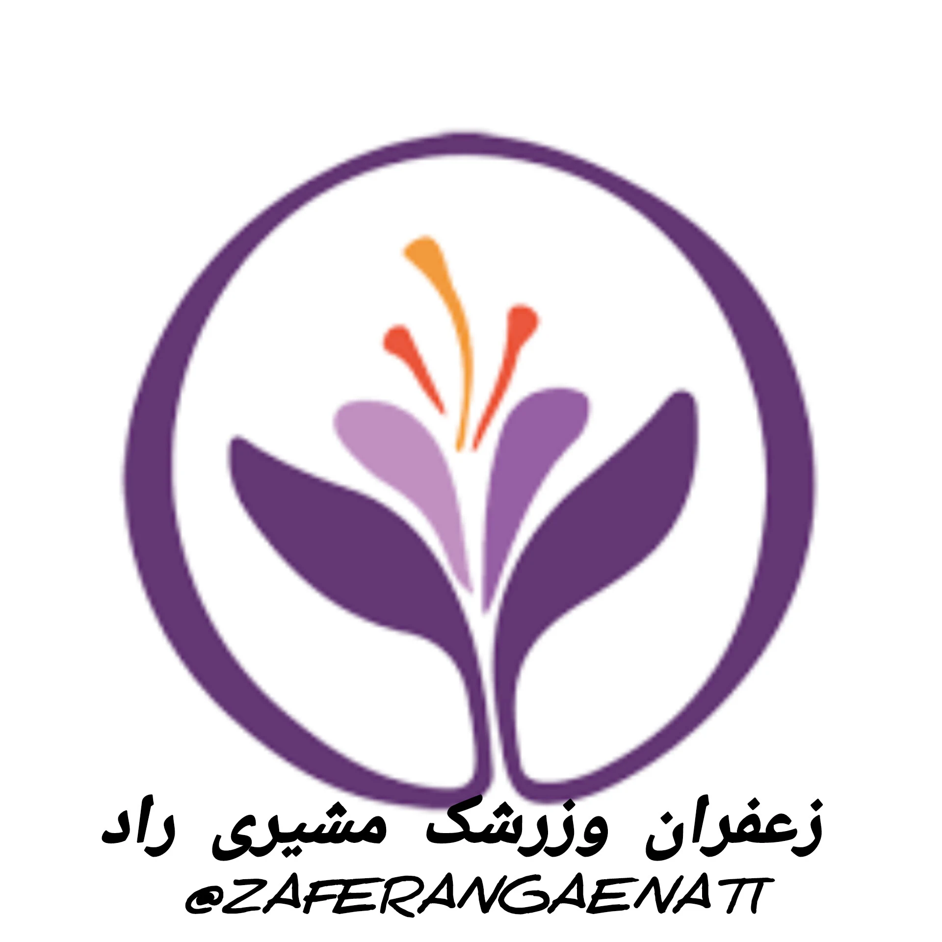 زعفران وزرشک قاینات - آجیل و خشکبار در مشهد