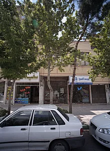 سفید شویی عارف