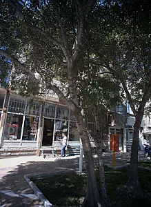 سفیدشویی