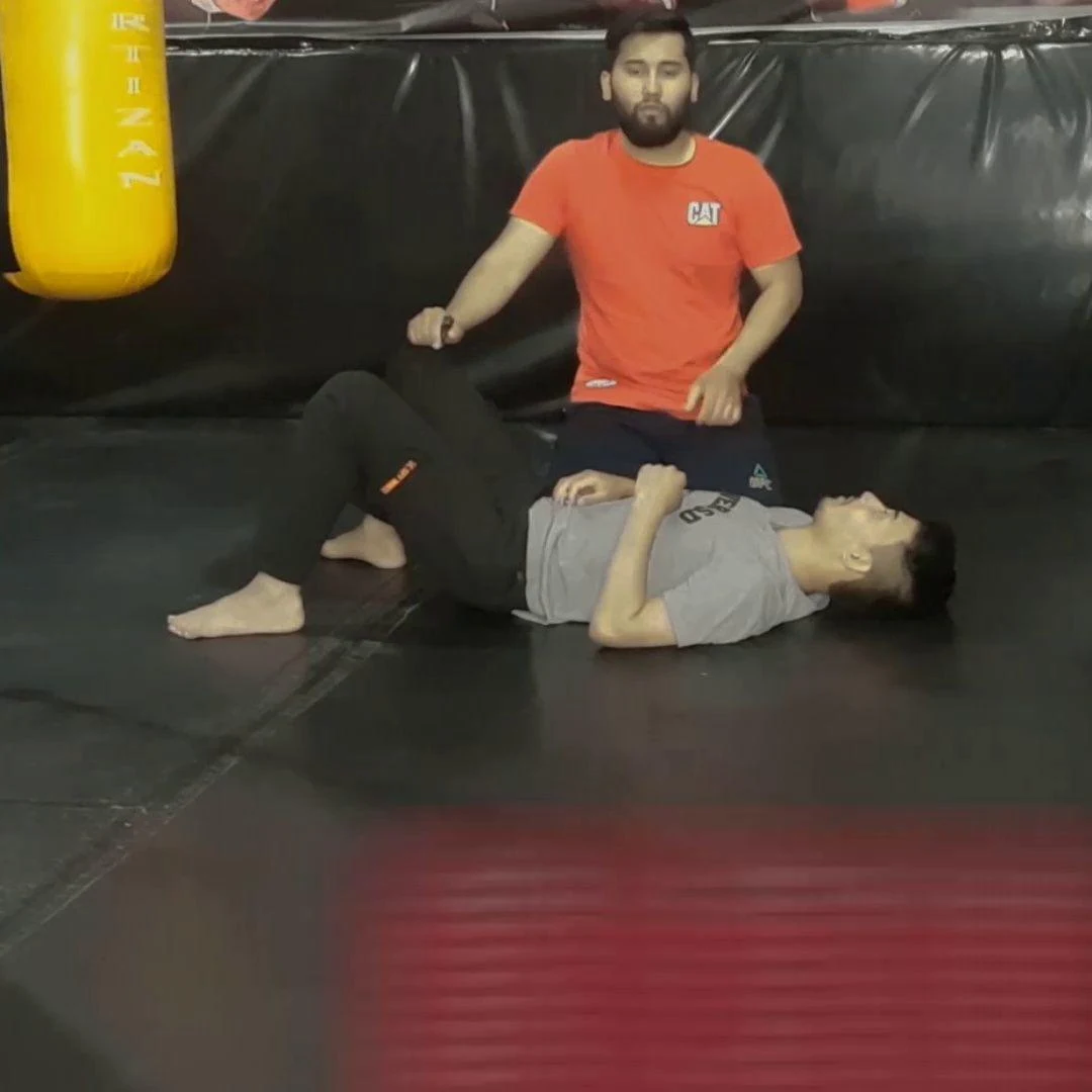 آموزش تخصصی MMA هنر مبارزات ترکیبی - باشگاه رزمی در مشهد - تصویر 3
