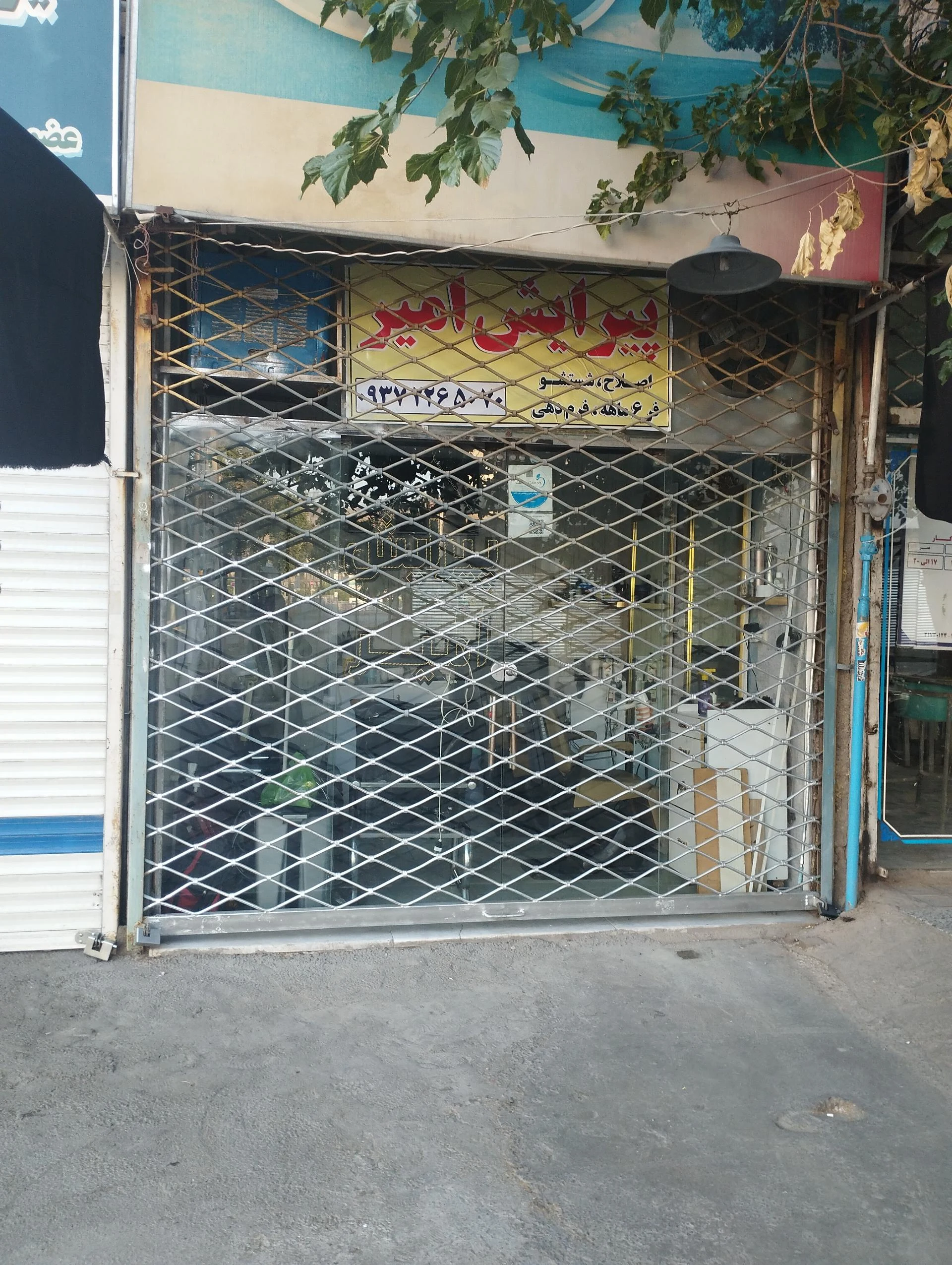 پیرایش ارامو - تصویر 3
