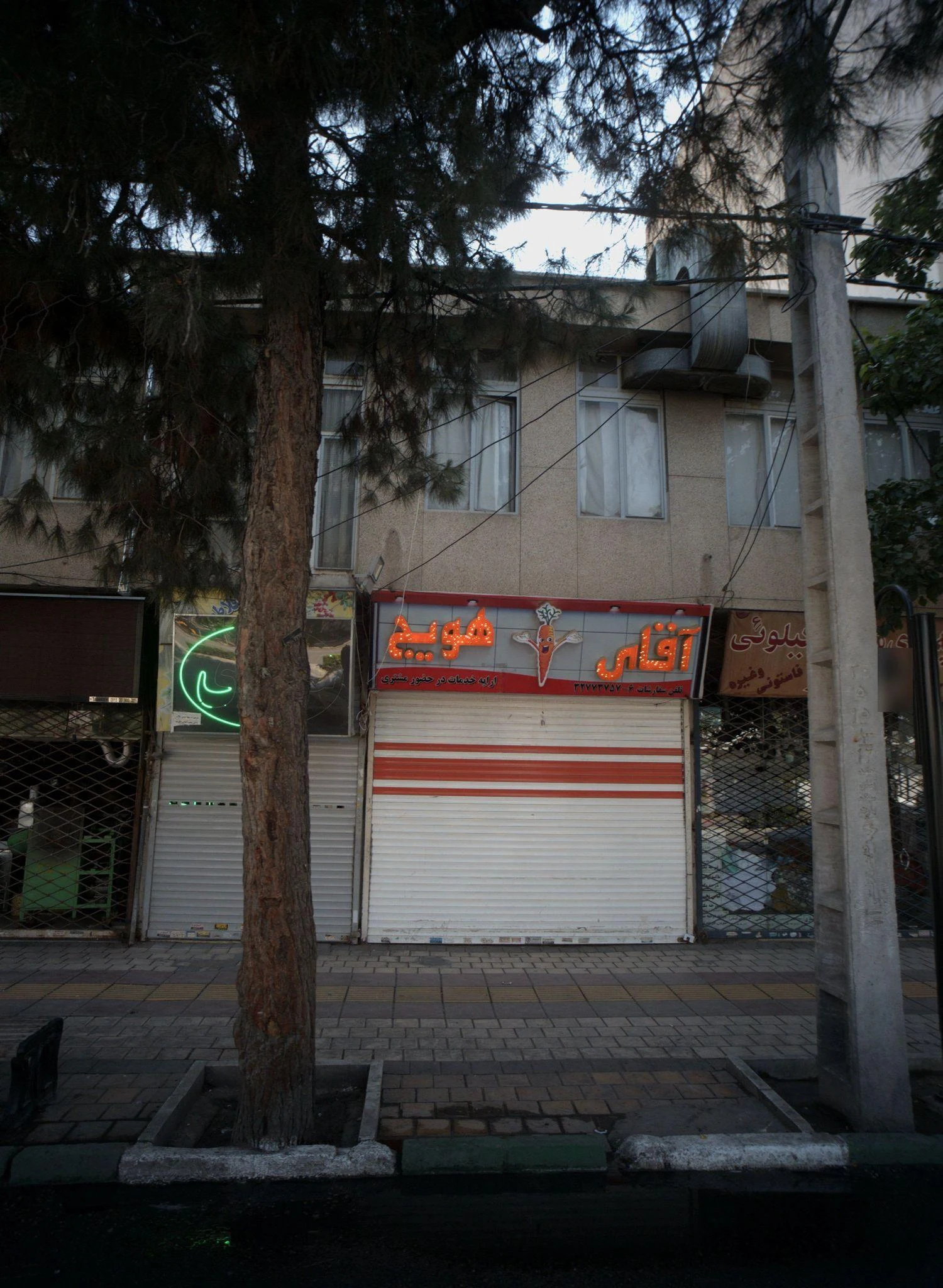 آقای هویج