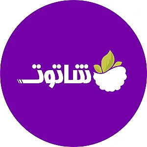 شرکت نرم‌افزار شاتوت