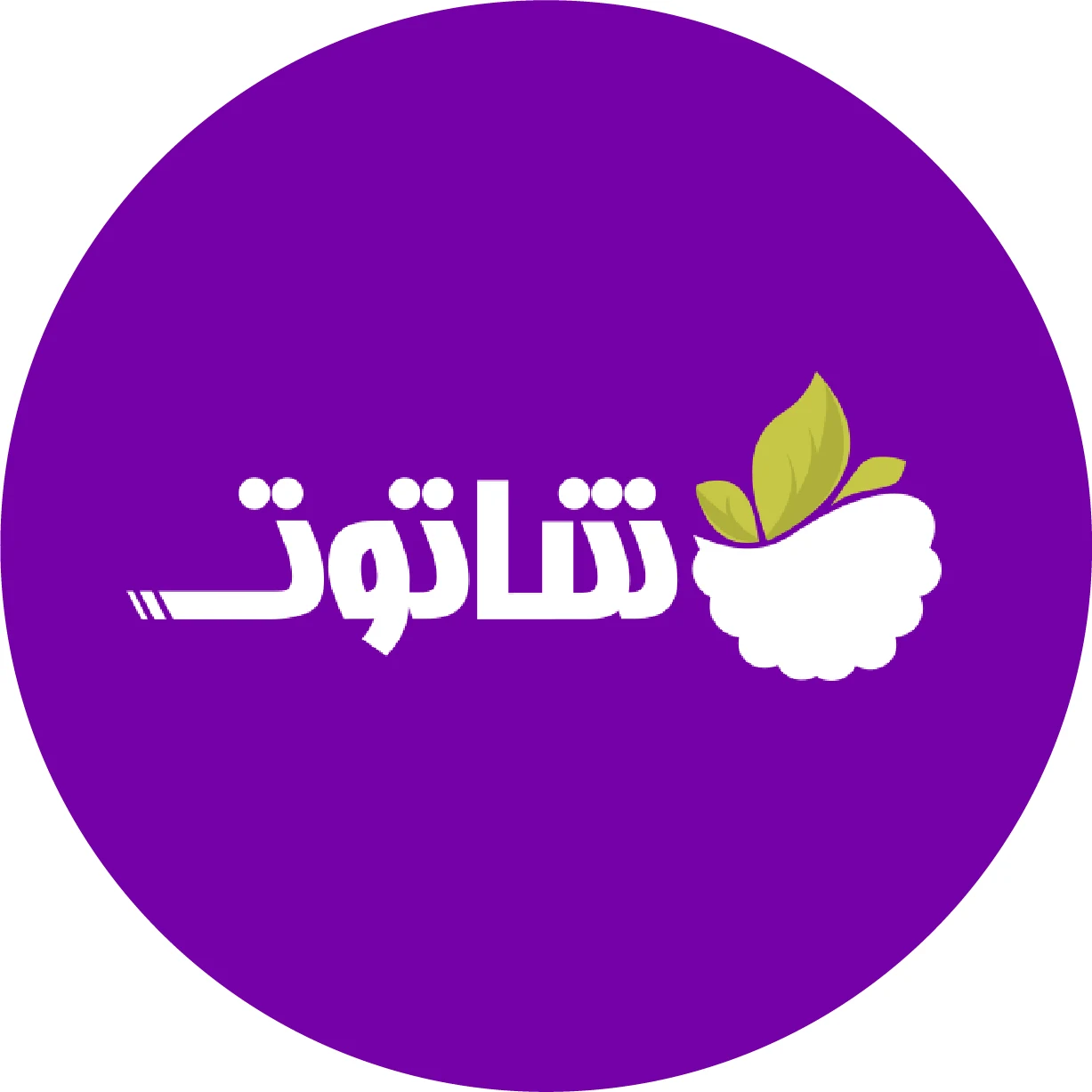 شرکت نرم‌افزار شاتوت