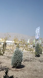 پنجره هافمن