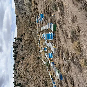عسل طبیعی گلدره عباس حیدری (فروش سیار)