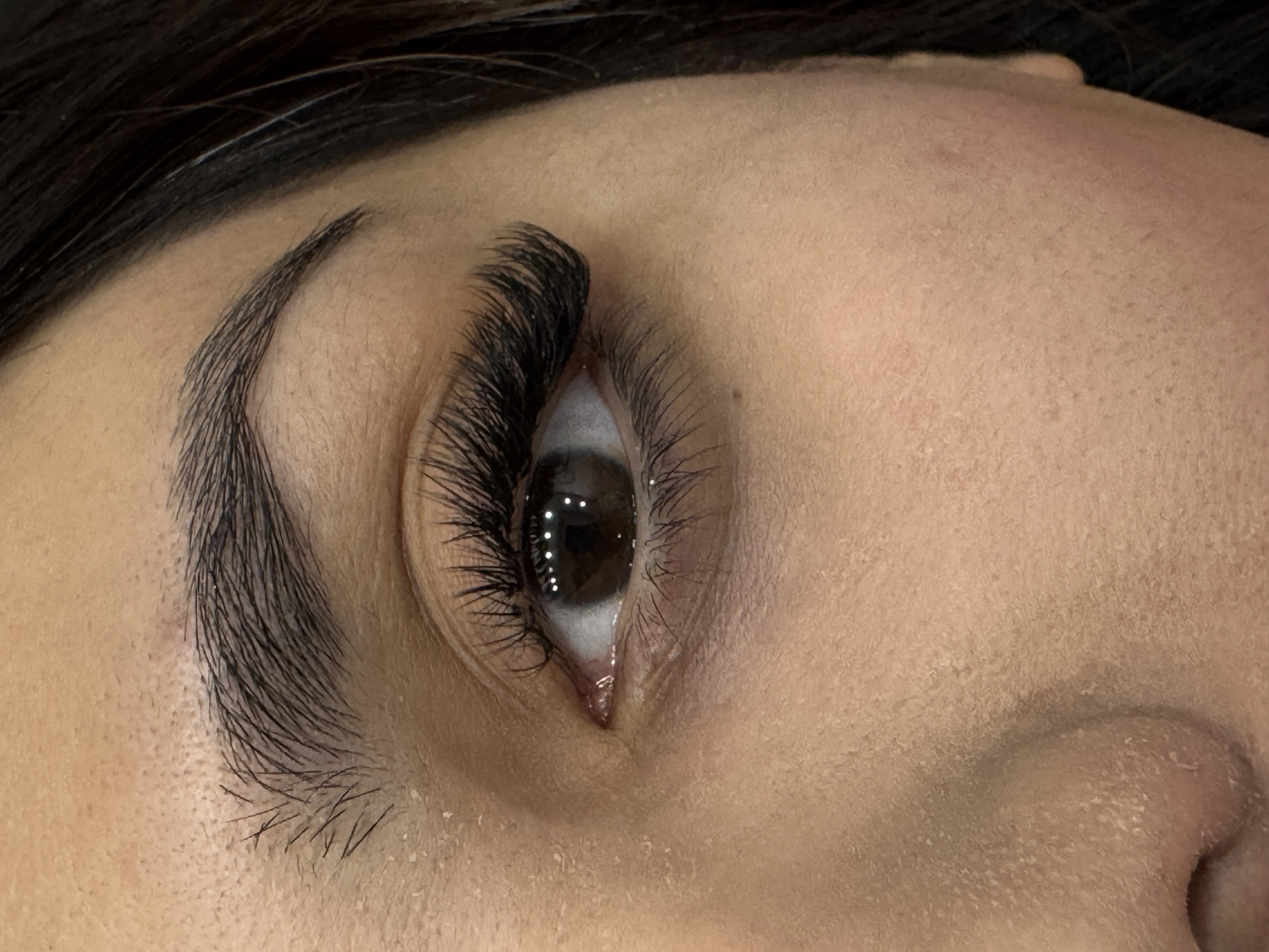 خدمات تخصصی اکستنشن مژه لیفت و لمینت - تصویر 3