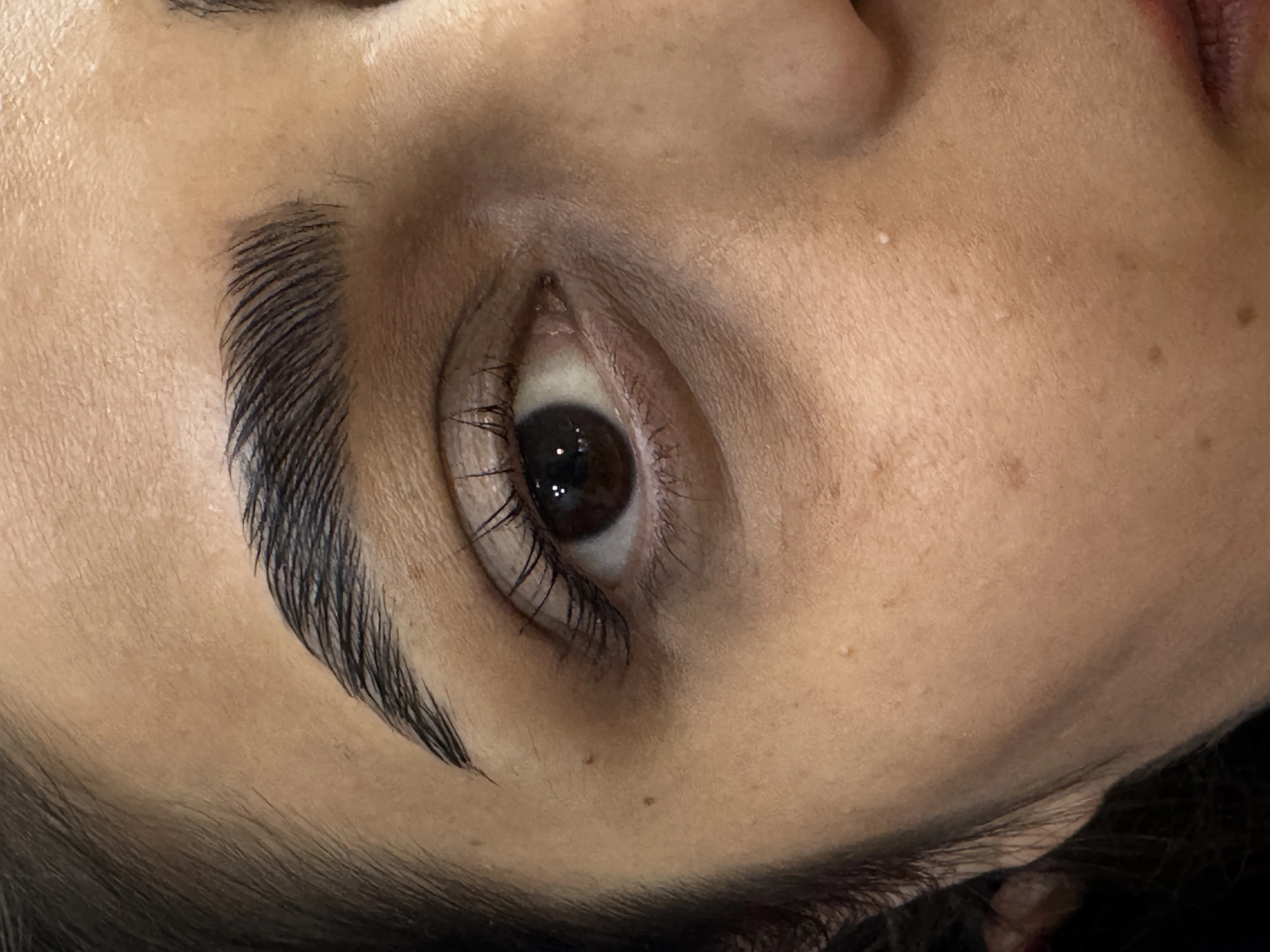 خدمات تخصصی اکستنشن مژه لیفت و لمینت - تصویر 4