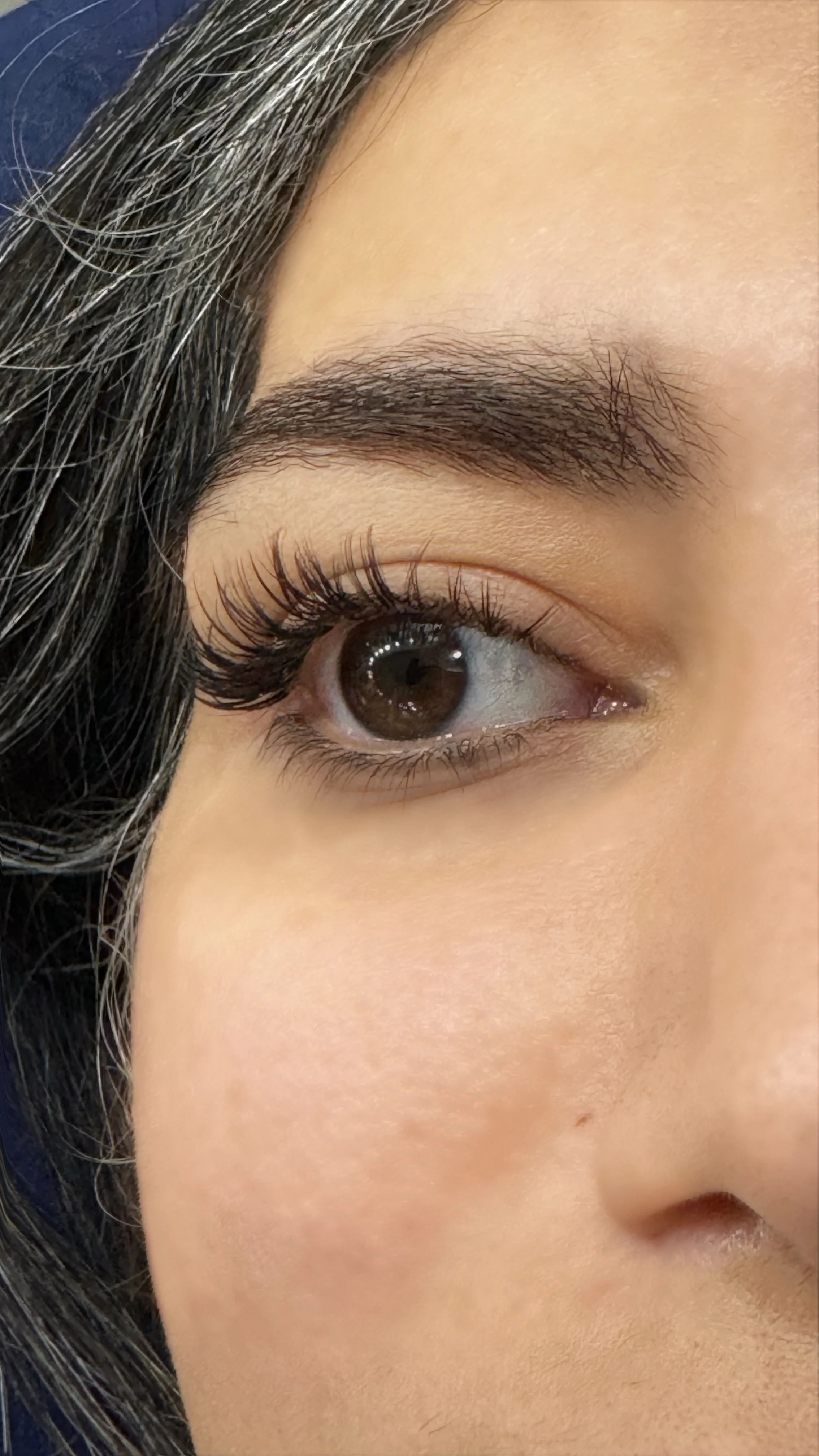 خدمات تخصصی اکستنشن مژه لیفت و لمینت - تصویر 5