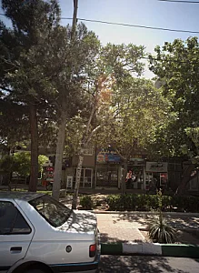 اغذیه دلپذیر