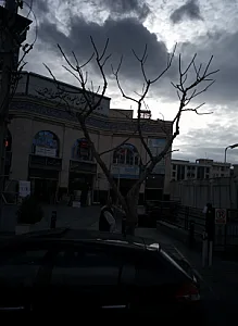 کاشی الوند