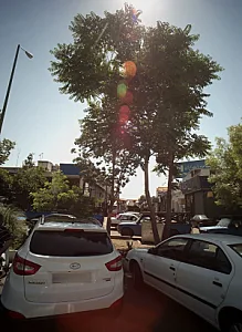 آهن هاشمی