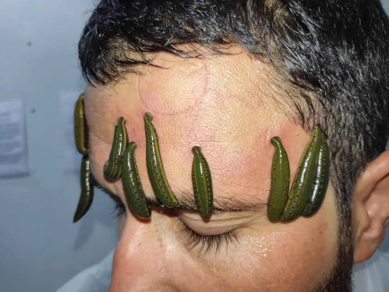 مرکز طب سنتی و سلامتکده هوبیش - طب سنتی و عطاری در مشهد