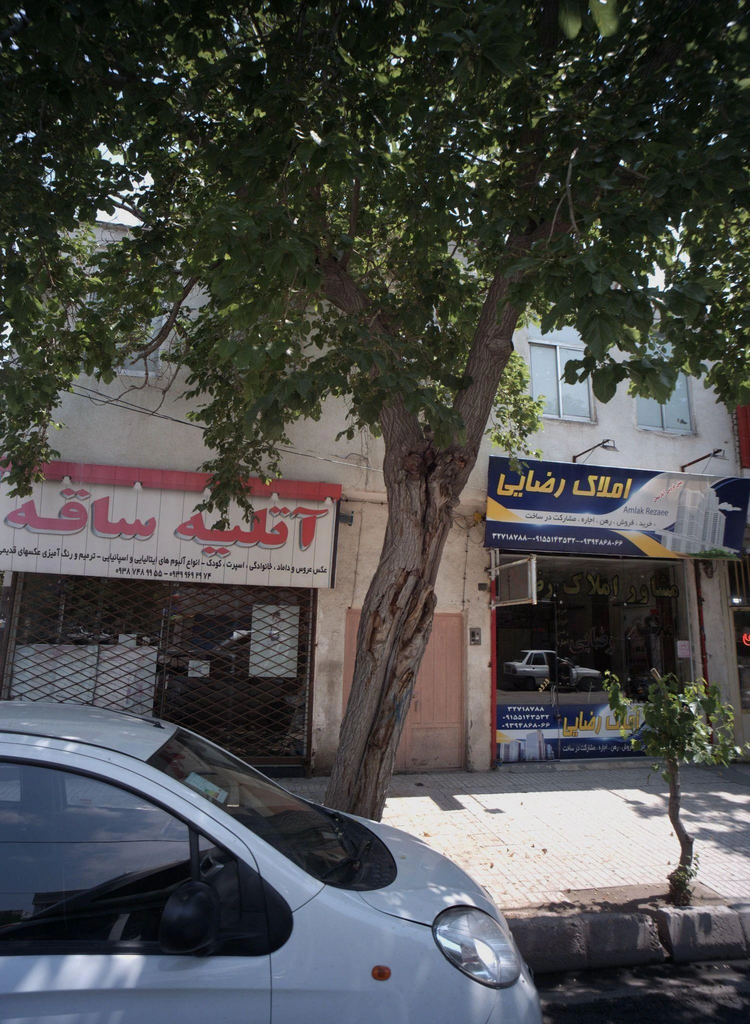 آتلیه ساقه