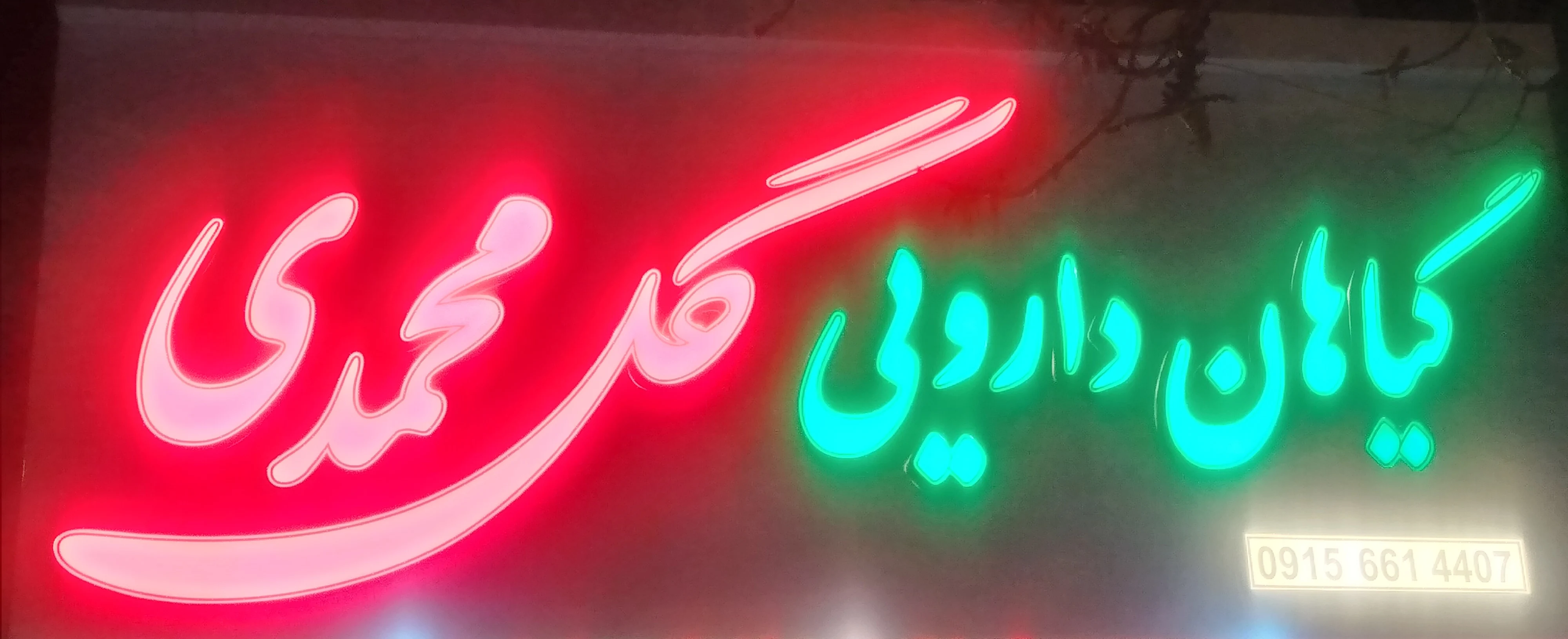 گیاهان دارویی گل محمدی - طب سنتی و عطاری در مشهد - تصویر 3