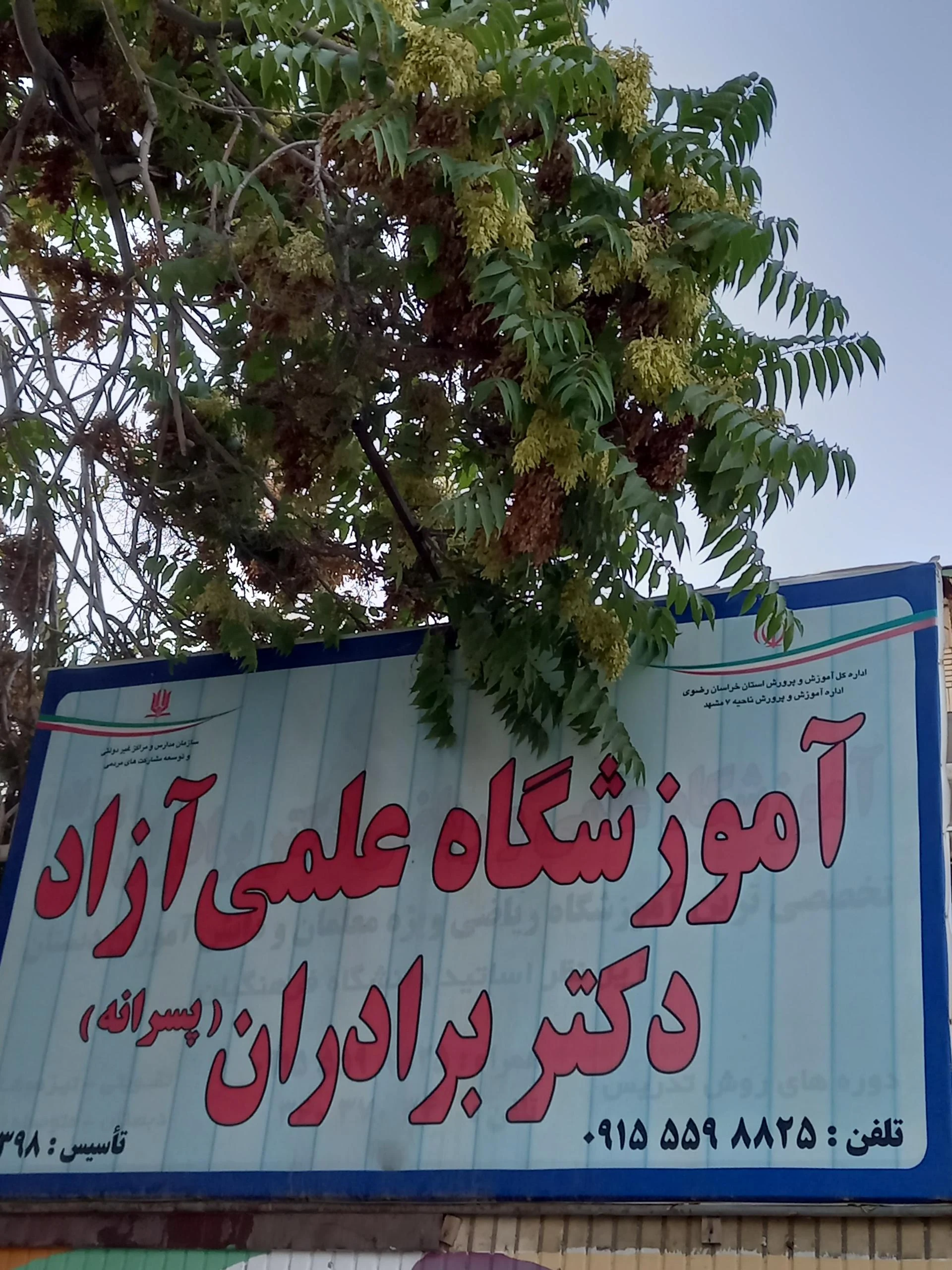 طلا و جواهر سازی عیار