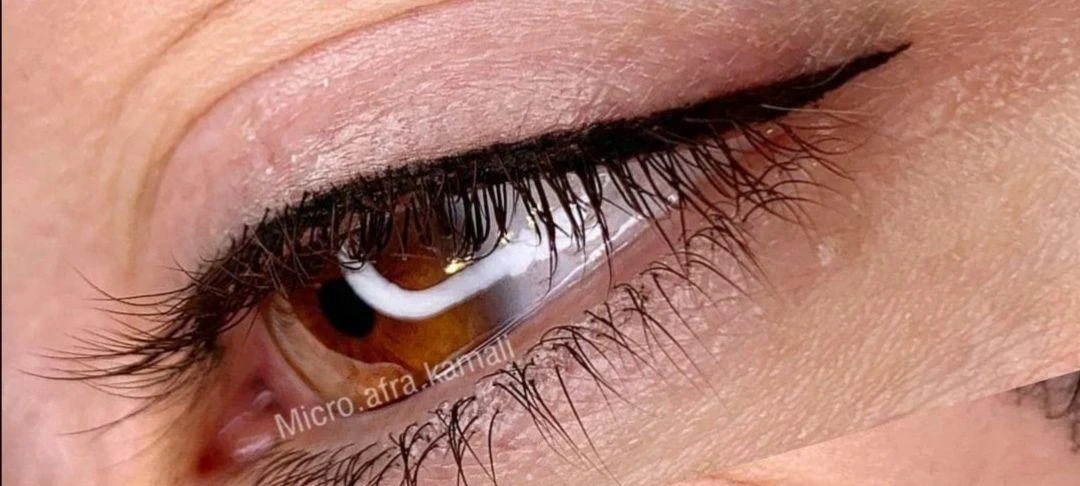ارائه خدمات آرایش دایم صورت. شامل رژ لب. فیبروز و بولدبروز ابرو. خط چشم و بن مژه - تصویر 3