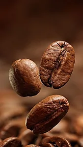 روستری قهوه پاتاوان