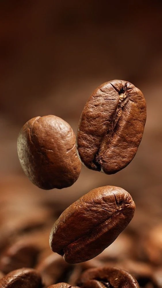روستری قهوه پاتاوان