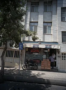 رنگ اتومبیل فروتن