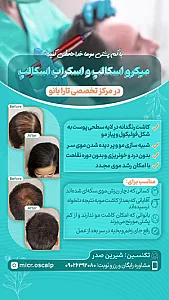 میکرو اسکالپ صدر