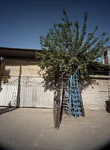 ضایعاتی