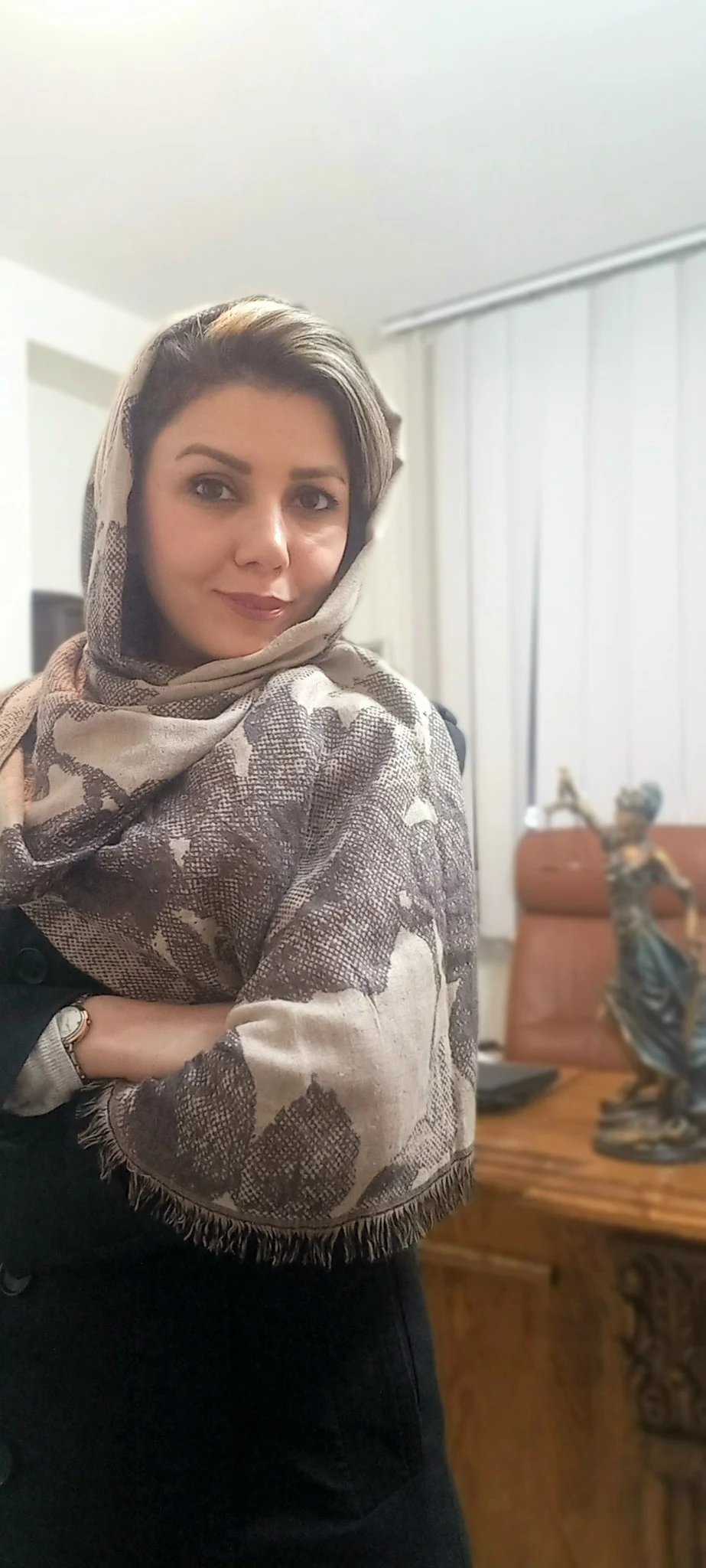 وکیل آذر مینائی - مشاور حقوقی در مشهد - تصویر 2