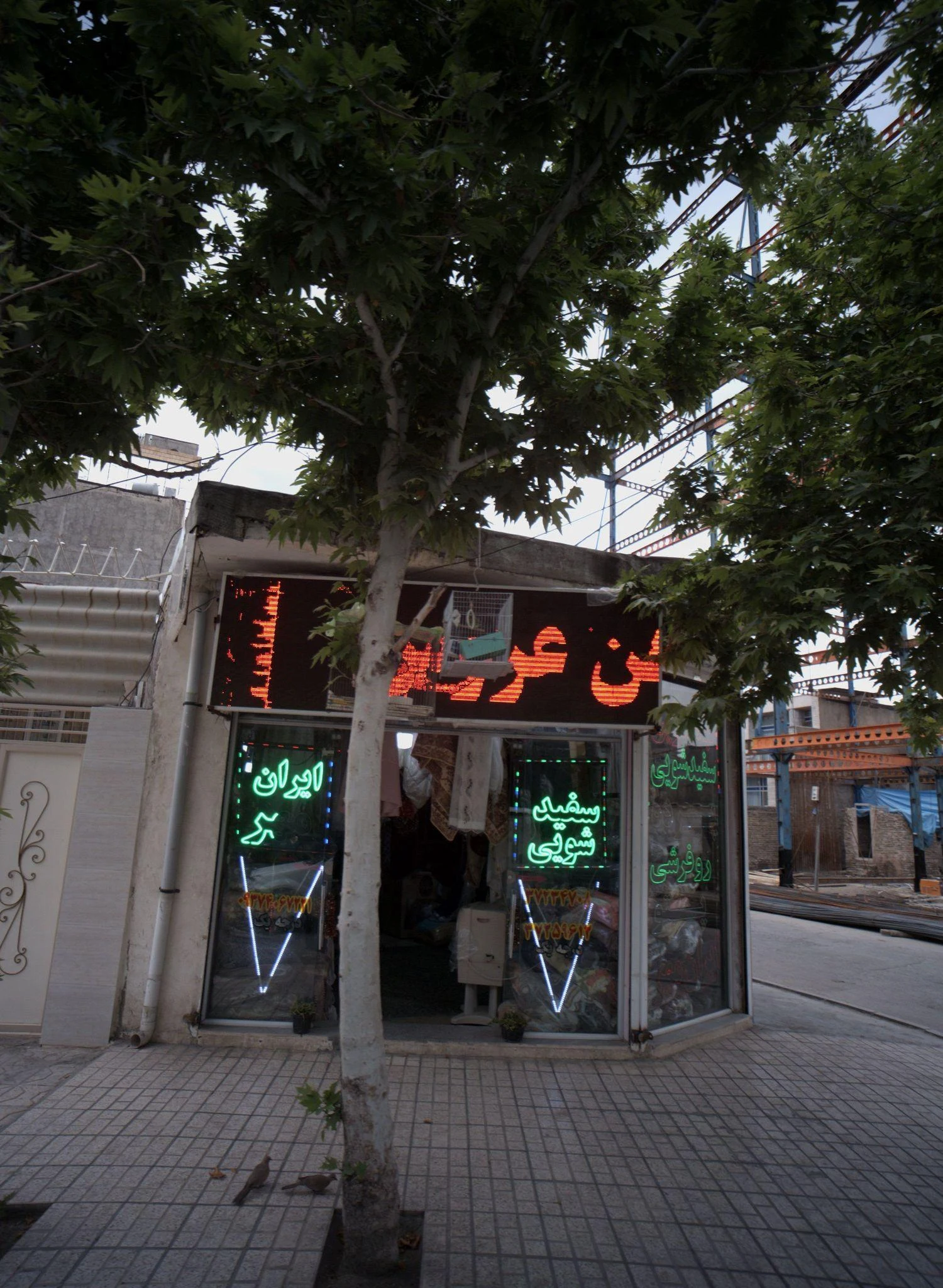 سفید شویی ایران مهر
