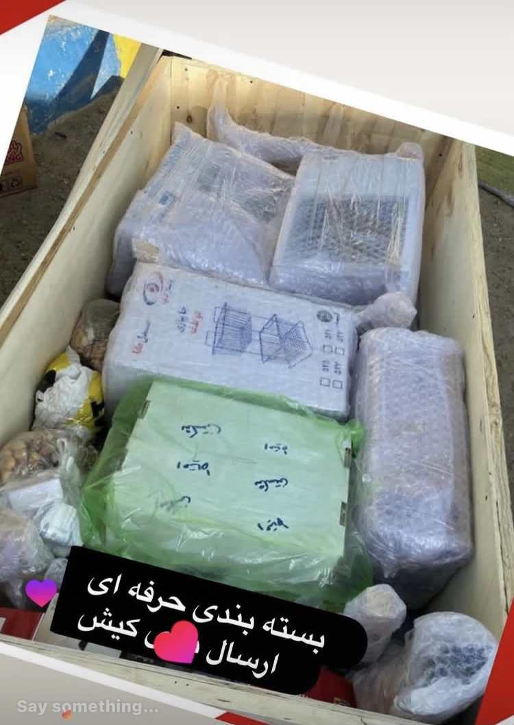 خدمات باربری شاپور - تصویر 3