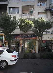 رنگ فراز پیشه
