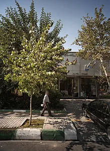 بهداشتی ساختمانی رحیمی