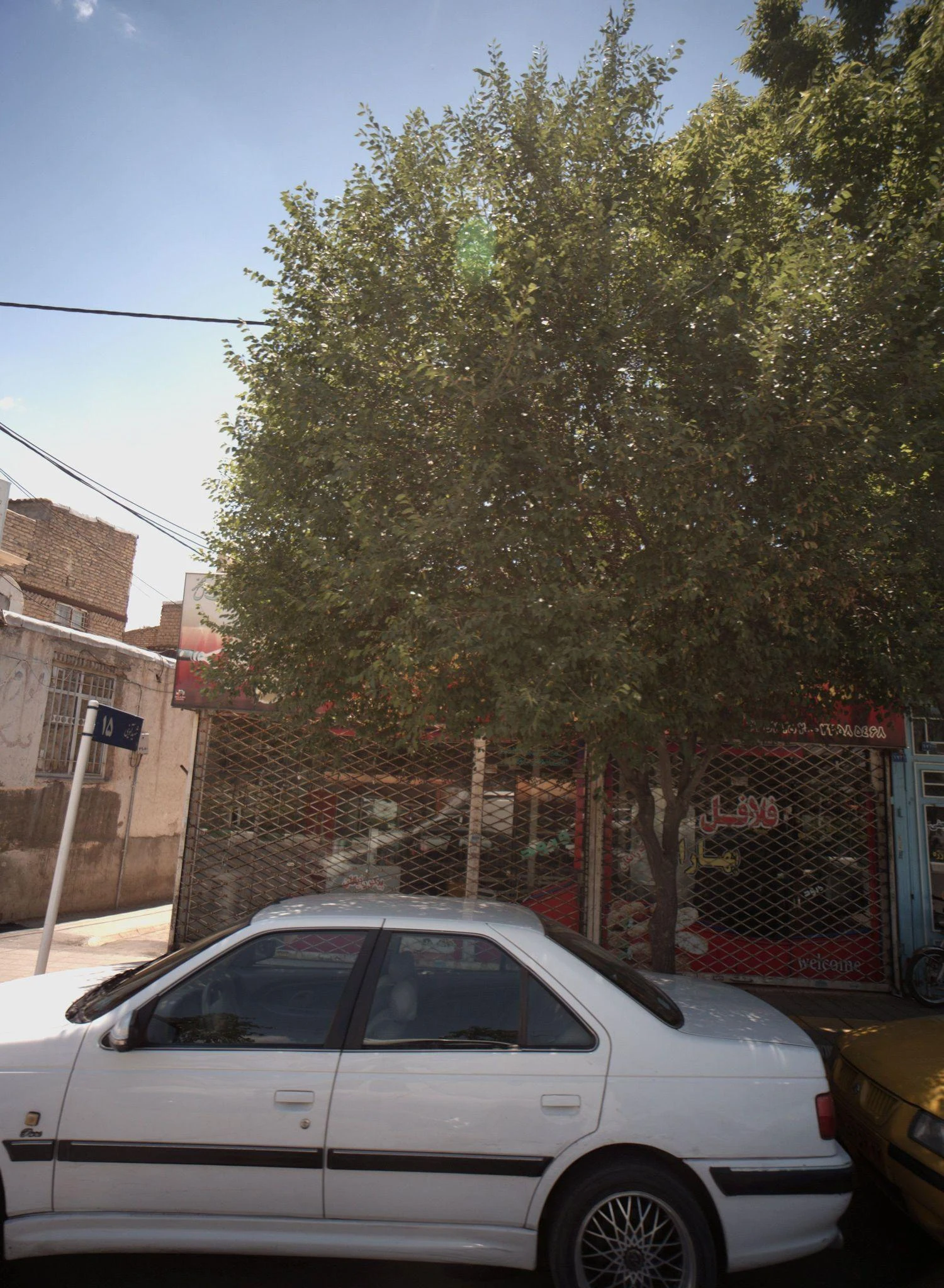 اغذیه بهاران
