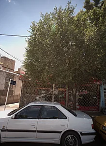 اغذیه بهاران