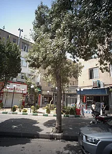 فروشگاه لوازم بهداشتی ساختمان