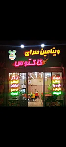 ویتامین سرای کاکتوس