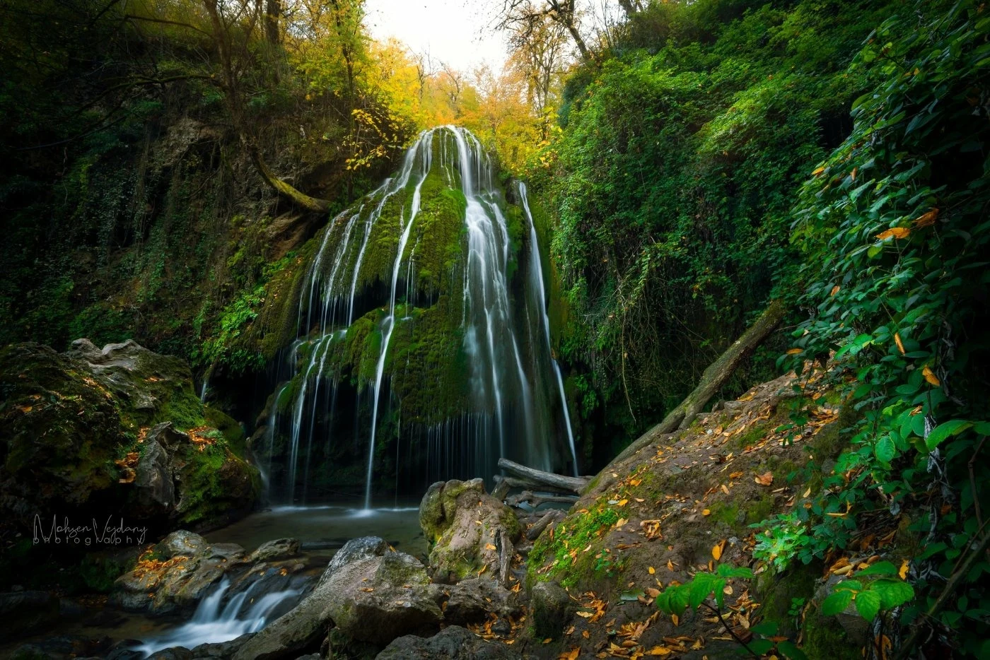 محسن وجدانی - تصویر 3